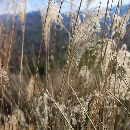 Chez Elles En Provence *